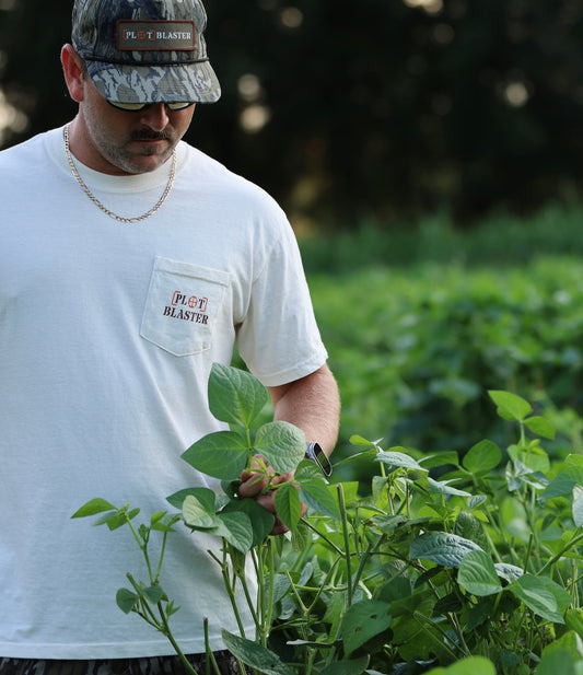 Maximizing Success With Diverse Food Plot Plantings
