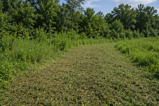 Spray Before You Mow: Why the Order Matters for Better Weed Control