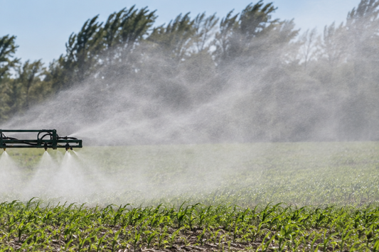5 Spraying Mistakes That Cost You Money