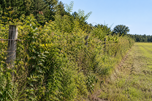 Wide vs. Directional Spray Patterns: Choosing the Right Setup for the Job
